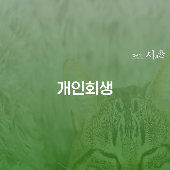개인회생 저축은행 채무 개인파산 자세하게 알아보자