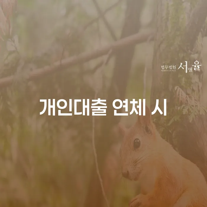 개인파산변호사 채무 효과적인 해결방법 낮아진