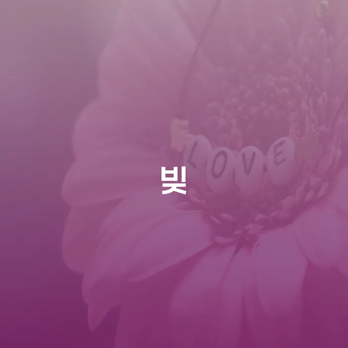 개인빚 채무조정제도을 이용하여 신청해야할때
