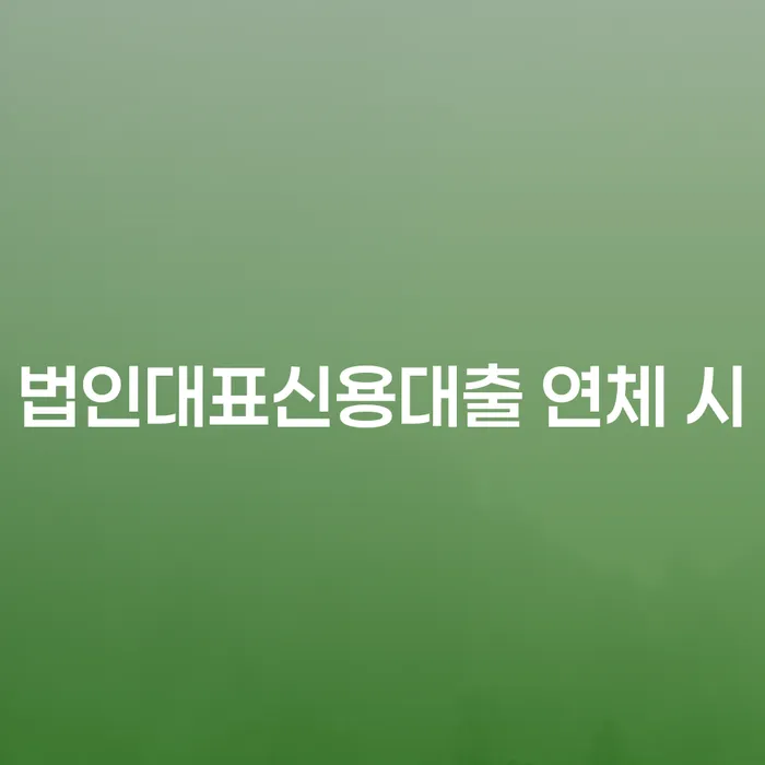3억대출이자 연체 시 채무 효과적인 해결방법 자세하게 알아보자