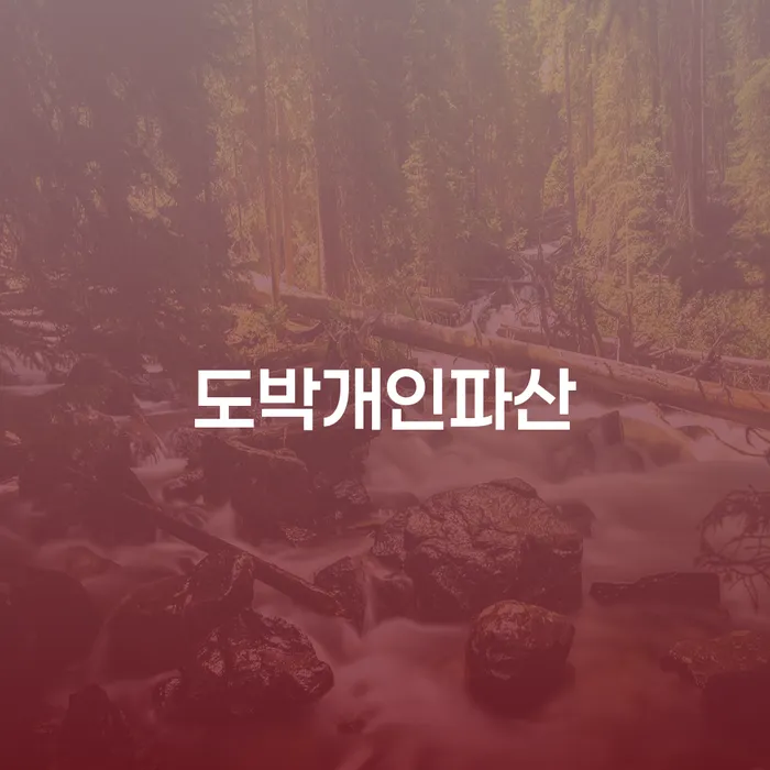 개인회생면책신청 채무 효과적인 해결방법 선택해야 하는