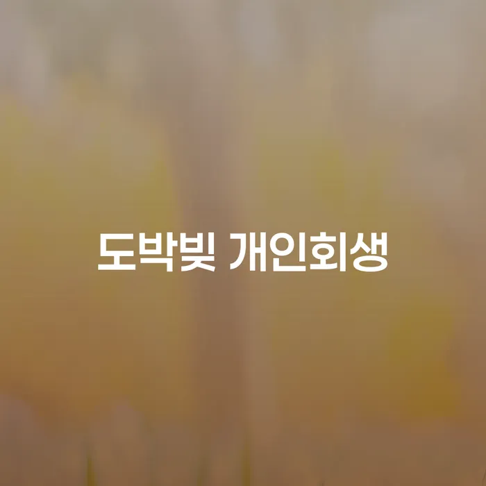 양산시 개인파산 개인회생,개인파산으로 지식을