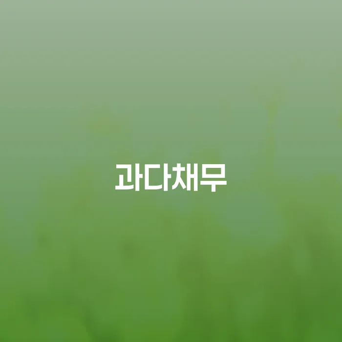 달성군 대부업체연체 개인회생 문제해결방법 총정리