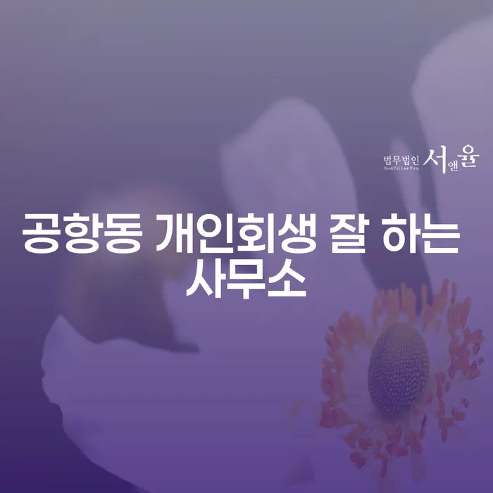 공항동 개인회생 잘 하는 사무소