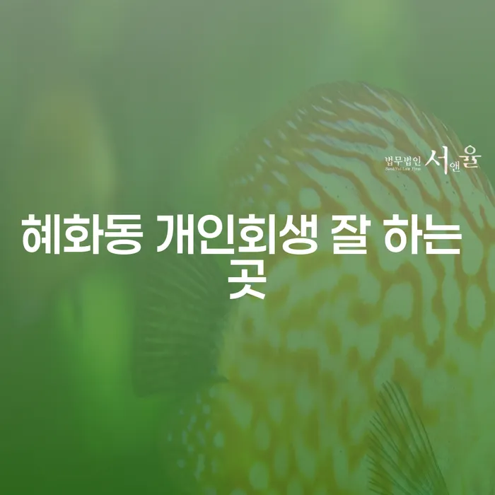 혜화동 개인회생 잘 하는 곳