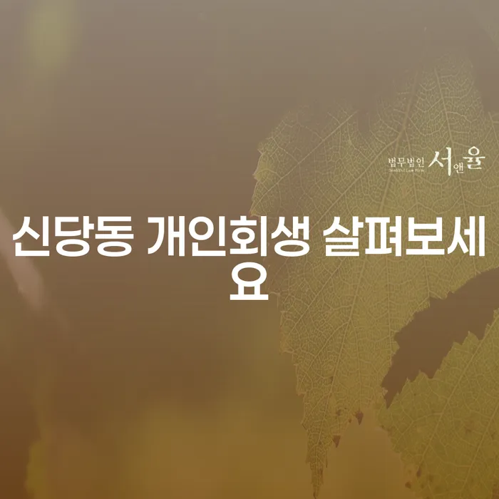 신당동 개인회생 살펴보세요
