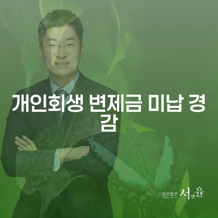 개인회생 변제금 미납, 어떻게 극복할 것인가?