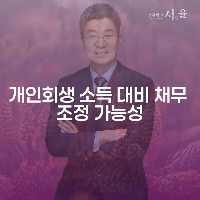 개인회생 소득 대비 채무 조정 가능성: 어떤 선택이 더 유리할까요?