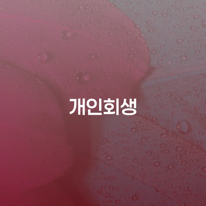 잠원동 개인회생, 당신의 재정적 어려움을 해결할 수 있는 방법은?