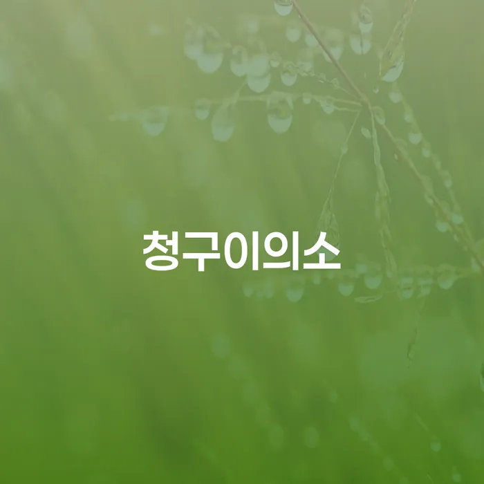 청구이의소란 무엇인가요? 채무자에게 어떤 도움이 될까요?