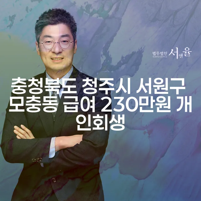 충청북도 청주시 서원구 모충동에서 급여 230만원으로 개인회생 가능할까요?