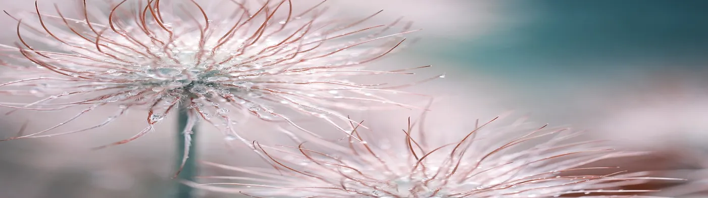 법무법인 서앤율